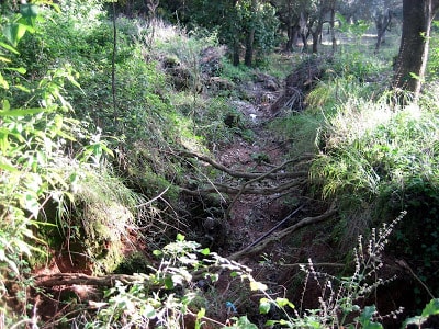 Parco Canali a Vignacastrisi